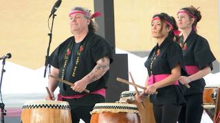 Downtown Akron Sakura Festival