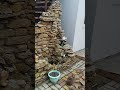 дом в Анапской