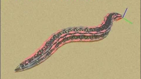 Palyanov_et_al_related_video.wmv