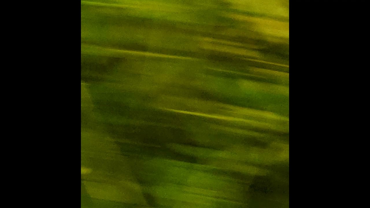 Cepheid - Jamuary Track 7 "My Heart is Noble" (2026)