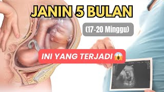 Perkembangan Janin 5 Bulan Lengkap [17–20 Minggu Kehamilan] ‼️