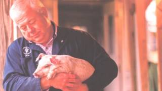 FIGAN 2013 - Zoetis - Alfredo Romero