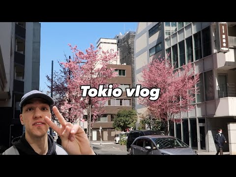 Kirschblüte in Tokio 🇯🇵🌸 Frühling 2024