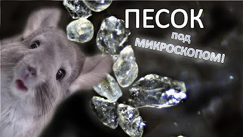 Хороший песок для ШИНШИЛЛ? Какой должен быть песок для ШИНШИЛЛ? Песок под микроскопом!