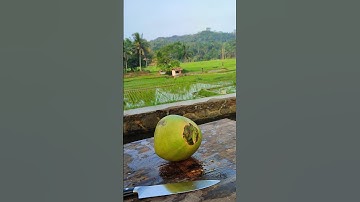 Technique for peeling green coconut using a sharp knife #satisfying #asmr