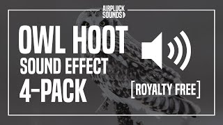 Owl Hooting Sound Effect SFX No Copyright [ Free Sound Pack ] screenshot 4