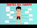 Aprender las partes del cuerpo en español para niños | Video educativo divertido |🔴 En vivo