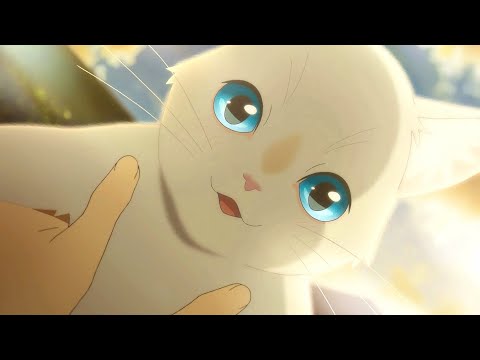 Video: Vilken Anime Filmades Om Katter
