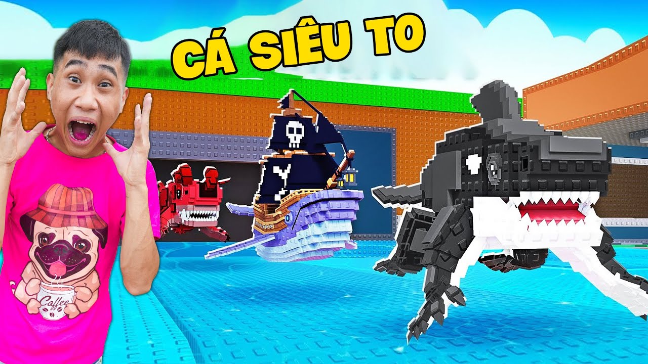 Quân Híp TV Tiến Hóa Các Loài Cá Siêu To Khổng Lồ