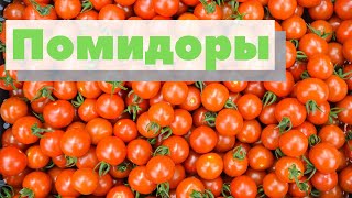 Огурцы И Помидоры | Как Это Сделано | Tomatoes & Cucumbers