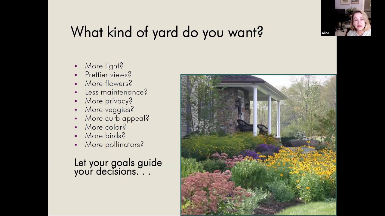 Your Yard, Your Sanctuary