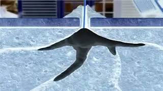 Requestedraid Ant News In G Major