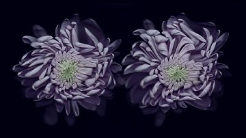 FABRICLIVE 91: Special Request | Paul Woolford - MUSIC VIDEO