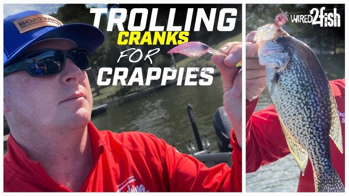 How to Catch Crappies Casting Micro Crankbaits 