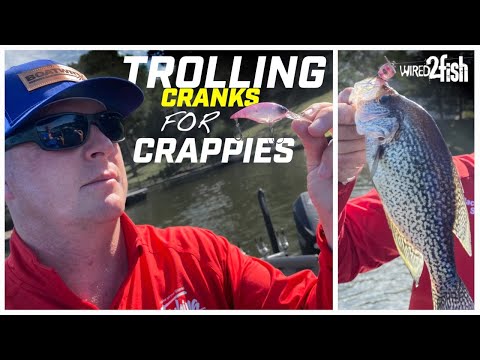 Trolling Crankbaits For Crappie With Spinning Gear #23 (6-20-2020