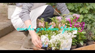 【ガーデニングvlog】夏花壇の植え替え/家庭菜園の収穫/ 採れたてサラダを作った日/The day the summer flowers were planted.【gardening vlog】
