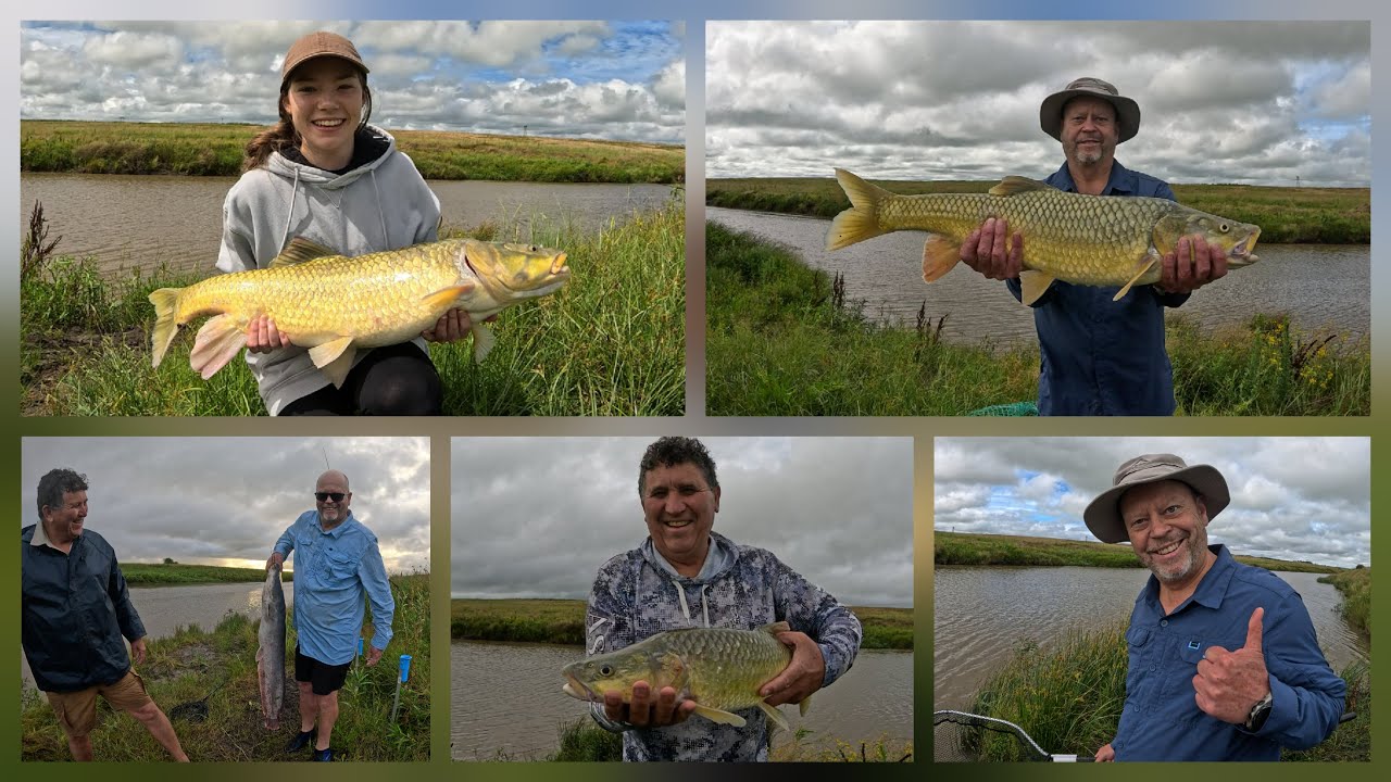 LARGEMOUTH Yellow Fish, The Apex Freshwater FISH!