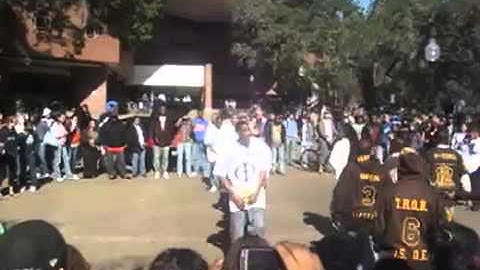 Iota Phi Theta in 2008 University of Florida  Gamma Omicron chapter