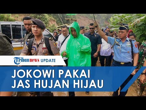 Featured image of post Monyet Pake Jas Hujan Dan Monyet Dicukur Di Bawah Pohon Kami telepon gubernur papua mohon maaf