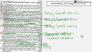 IOC - Complete Video of Overview and Example