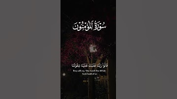 أجمل تلاوات تساعدك علي التركيز في الدراسة 📚 والهدوء والراحة النفسية 😴♥️ | القارئ