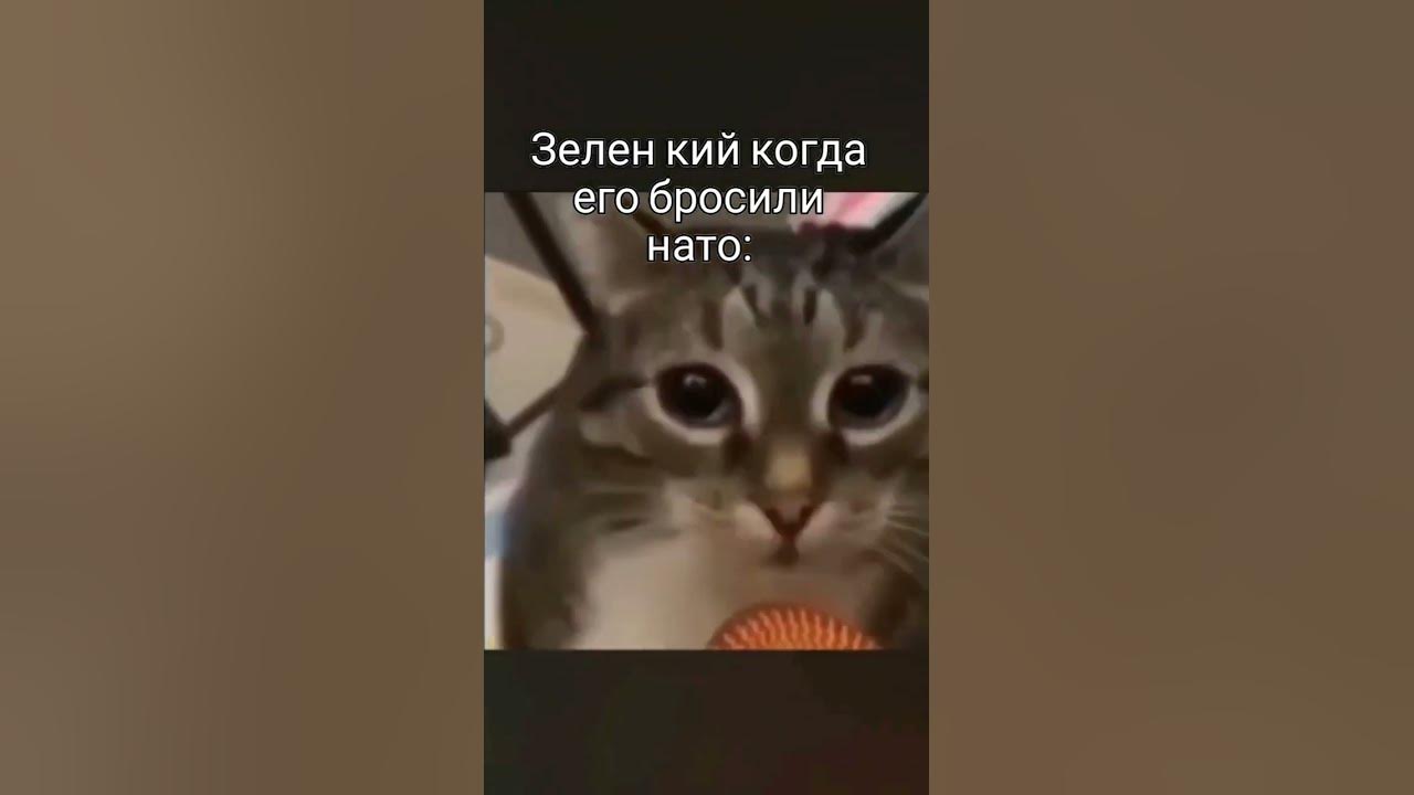 наша Раша держава наша #вреки #врекомендации #залетит - YouTube