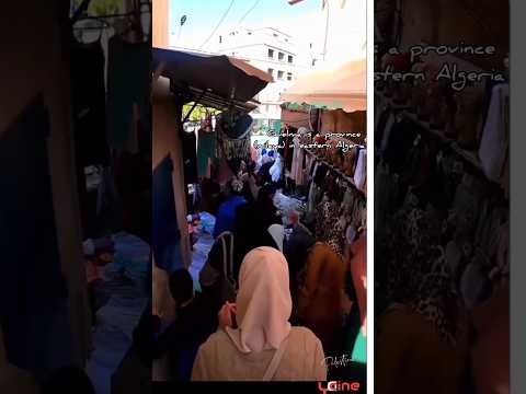 قالمة المضيافة الجزائر المسافر المتجول