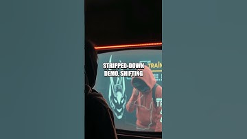 Pixels and Privileges: The Lost Cheat Chronicle