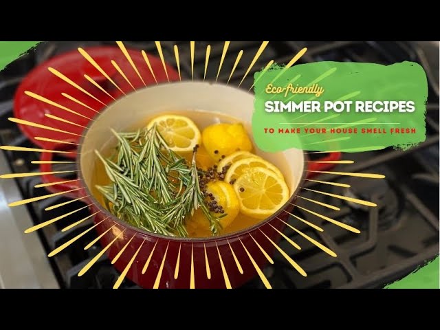 Williams Sonoma Signature Simmer Pot