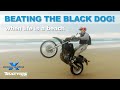 THE SUICIDAL BLACK DOG RIDE Cross Training Enduro philosophy THE SUICIDAL BLACK DOG RIDE Cross Training Enduro philosophy