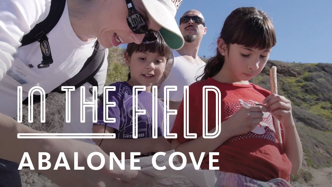 museums in london Field Trip to Abalone Cove