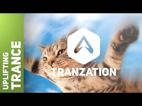 Bobina - Flying Kitten