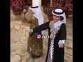رقص الفلوس والطفارى رقص الفلوس والطفارى