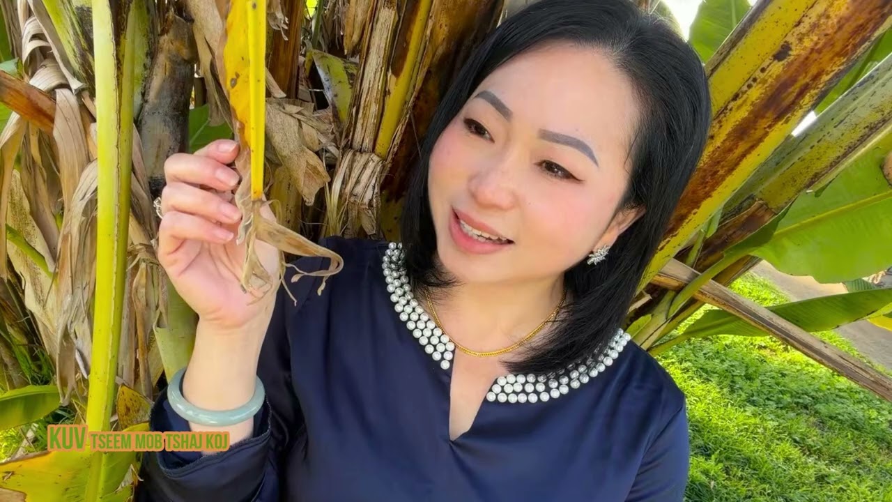 Kuv Tseem Mob Tshaaj Koj Mob 02-18-2026