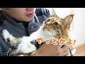 やっと変わります。