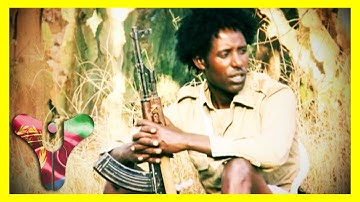 Eritrean Music: Beraki Gebremedhin - Metshaf Jigninet - 2015 | Halenga Eritrea