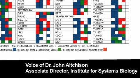 biosights: January 25, 2010 Systems biology of the mitotic spindle