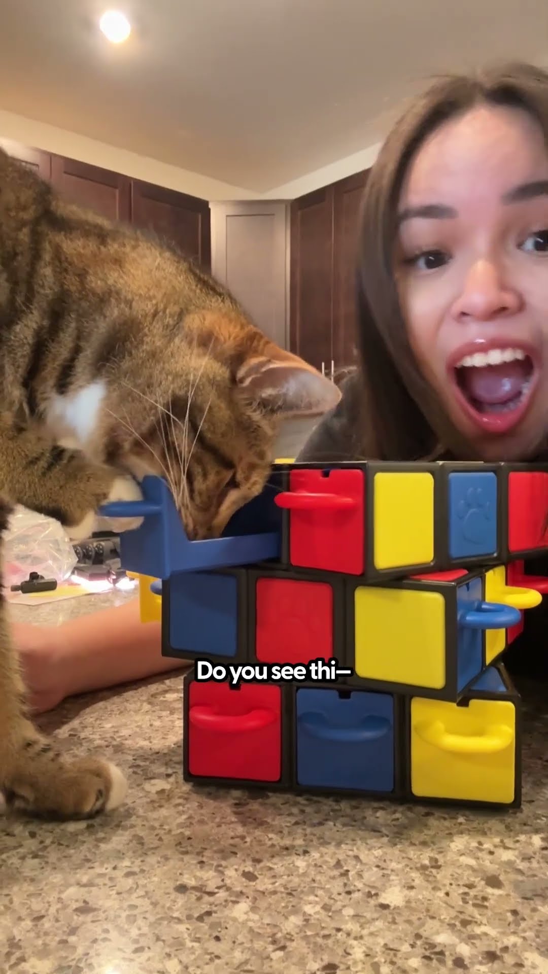 Cat Tried Dog Toys | The Pack