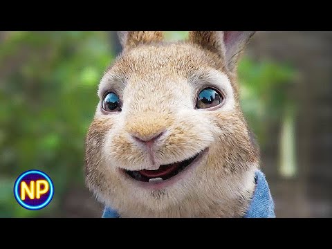 Opening Scene | Peter Rabbit