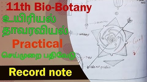 11th Bio-botany practical record file #11th #11thbiology #practical #recordnote @SivasBiology