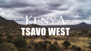 Tsavo West National Park