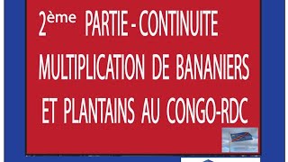 Bananiers plantains: Une pratique culturale très rentable pour garantir ton investissement agricole