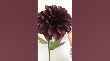 Giant paper flower dahlia DIY tutorial crafts #papercrafts #paperflower #craftideas