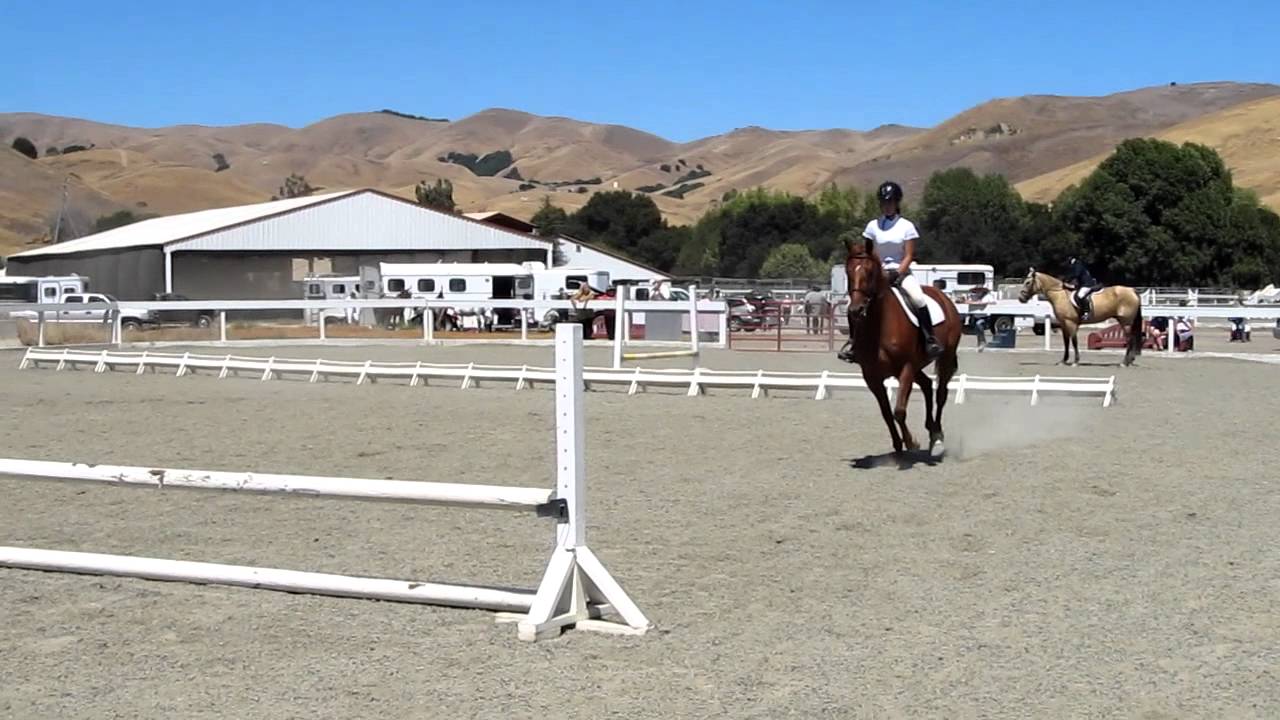 Watch Isabella's horse show, Aug 19 2012 on YouTube Watch Isabella's horse show, Aug 19 2012 on YouTube