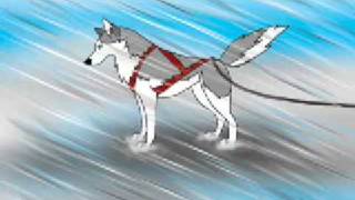 First Animation - Sled Dog