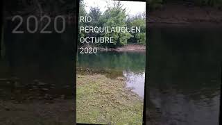 Pesca en chile , río perquilauquen , parral , carpa 7,5 kilos , octubre 2020