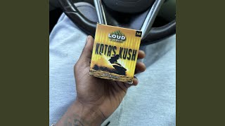 Kota Kush