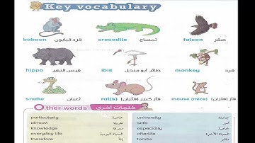 Grade 6 unit 7 lesson 2