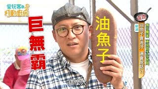 【屏東 小琉球】油魚卵竟然也能做油魚子？Q彈手工麵線，忘不了的東港老滋味！琉球家常菜達人，讓你吃過又天天回味！【愛玩客之移動的廚房】#260