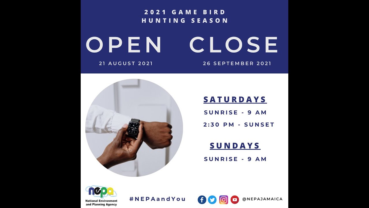 All You Need to Know | 2021  Game Bird Hunting Season